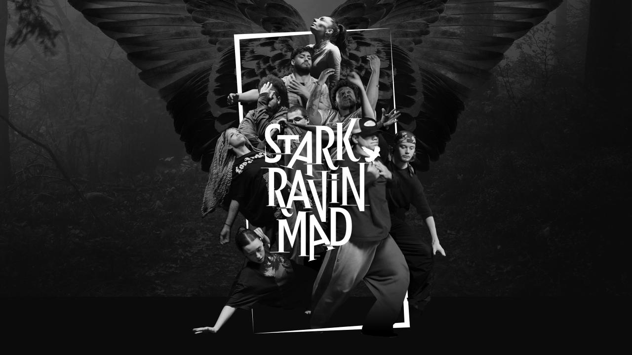 Danstheater Voorstelling Stark Ravin' Mad