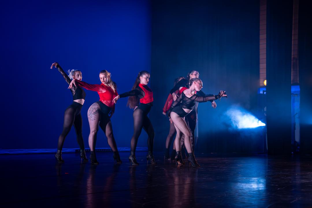 T.S.D.V. DanceNation