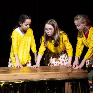 Het Zuidland kindertheaterdag 2025