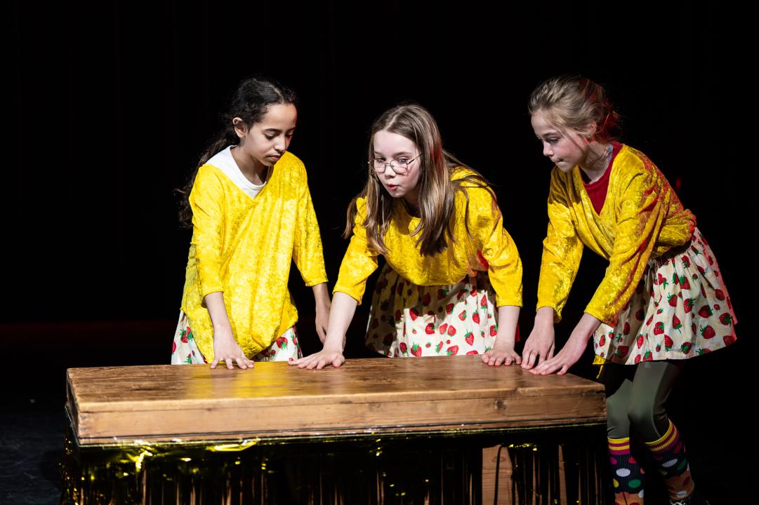 Het Zuidland kindertheaterdag 2025
