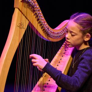 Winter- en topstroomconcert