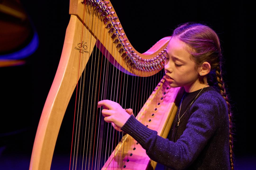 Winter- en topstroomconcert