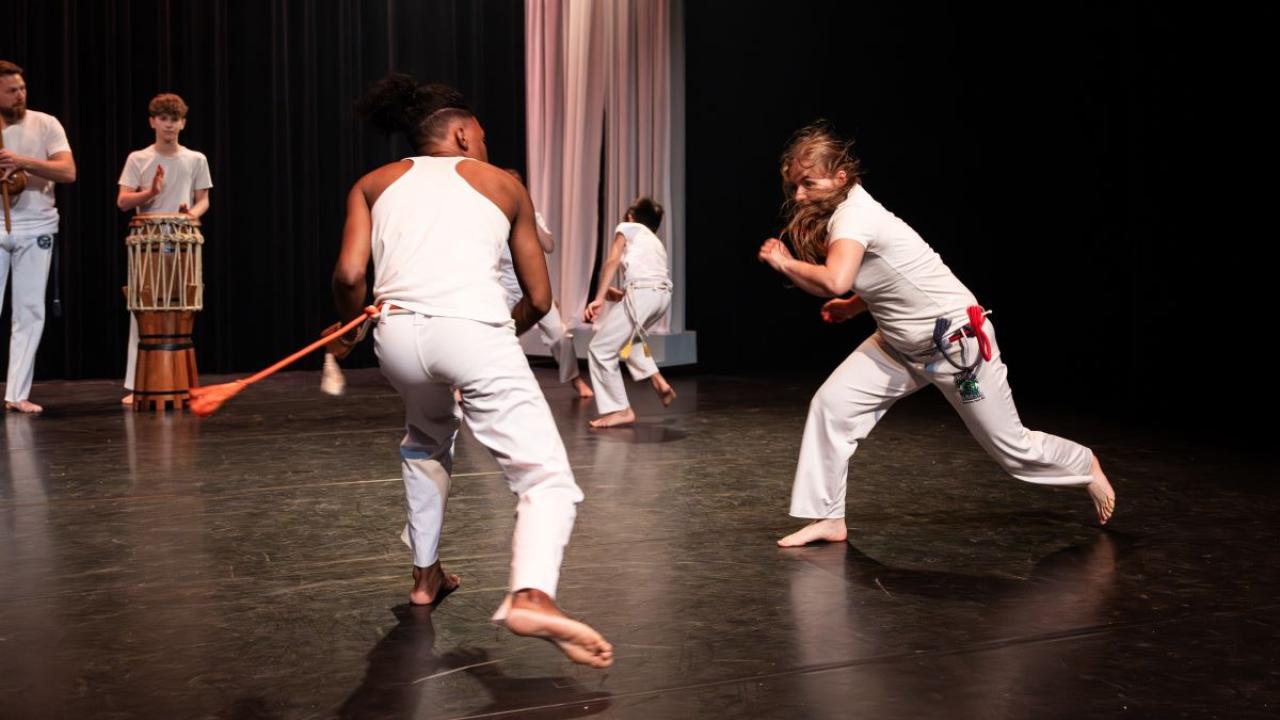 Capoeira Volwassenen