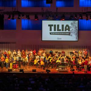 Koninklijke Harmonie presenteert: 'De Overval'