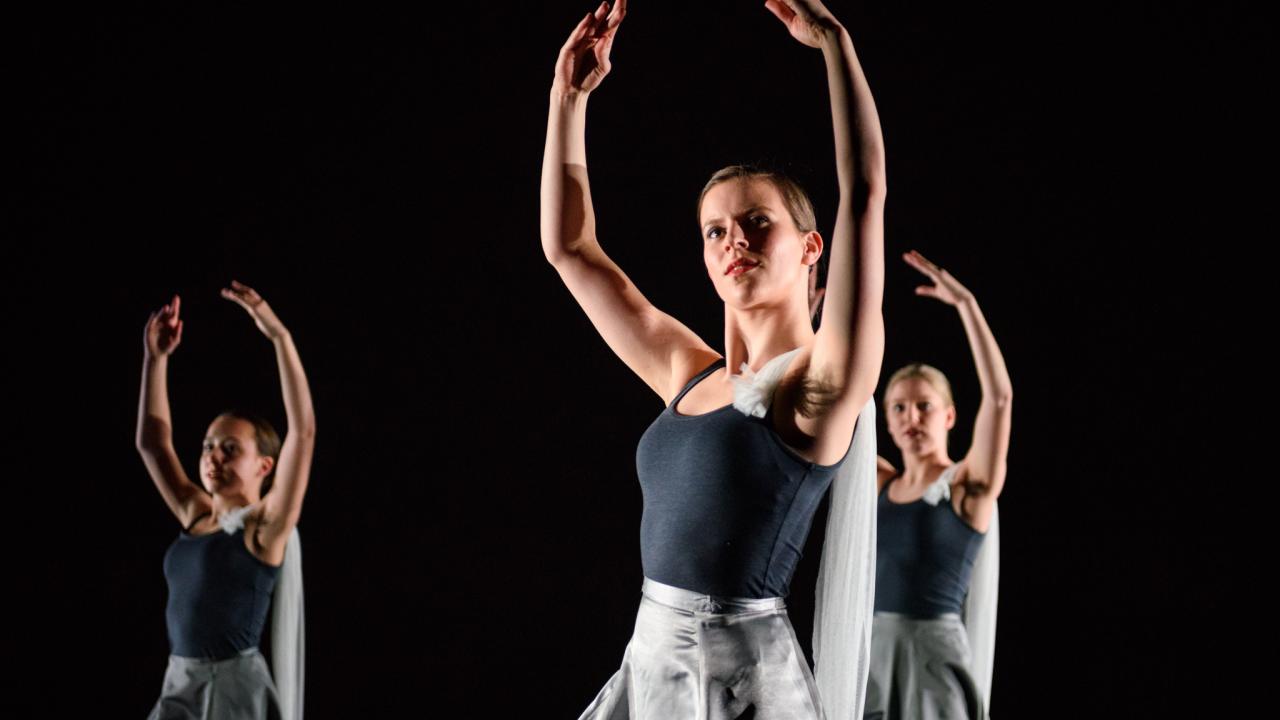 Cursus Klassiek Ballet Volwassenen