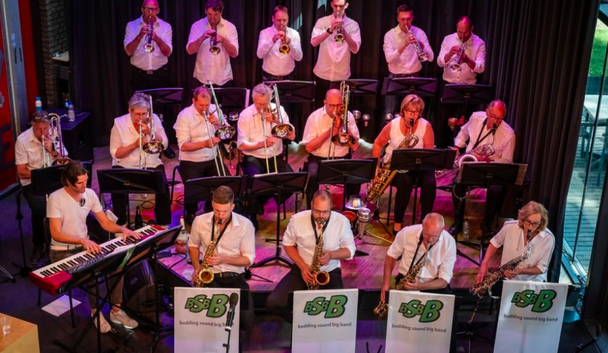 Proefles Buddingsound Bigband