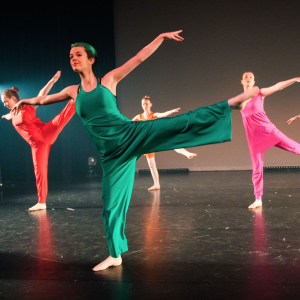 Dansworkshopdag