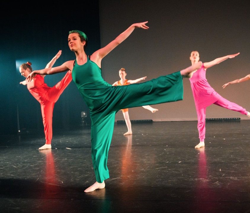 Dansworkshopdag