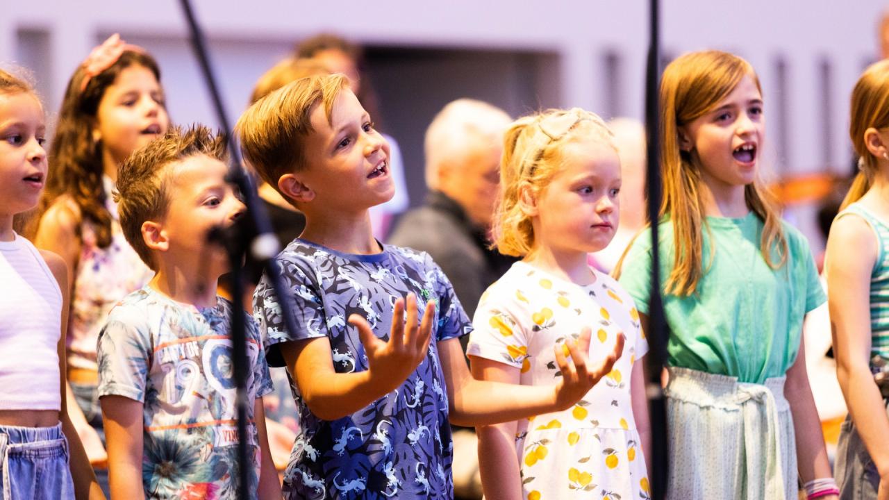 Project Stemmingmakers organiseert workshopdag
