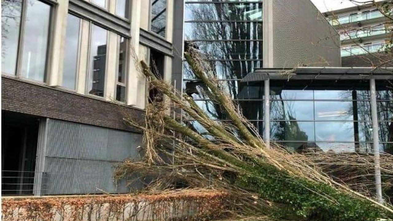 Factorium gesloten ivm stormschade